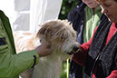 Koerung in Velbert_019