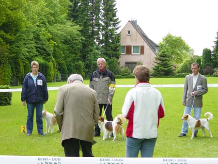 Schau_22