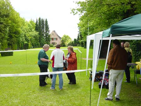 Schau_26