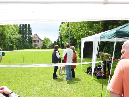 Schau_27