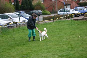 Ringtraining_017