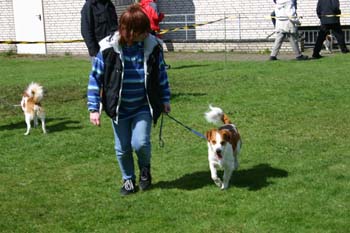 Ringtraining_075
