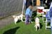 Ringtraining_002