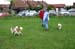 Ringtraining_014