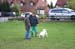 Ringtraining_031