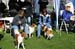 Ringtraining_033