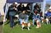 Ringtraining_034