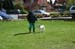 Ringtraining_051
