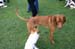 Ringtraining_063
