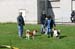 Ringtraining_073