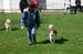Ringtraining_075