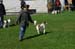 Ringtraining_076