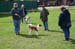 Ringtraining_082