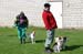 Ringtraining_085