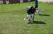 Ringtraining_132