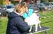 Ringtraining_136