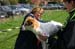 Ringtraining_145