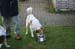 Ringtraining_147