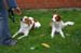Ringtraining_163