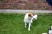 Ringtraining_170